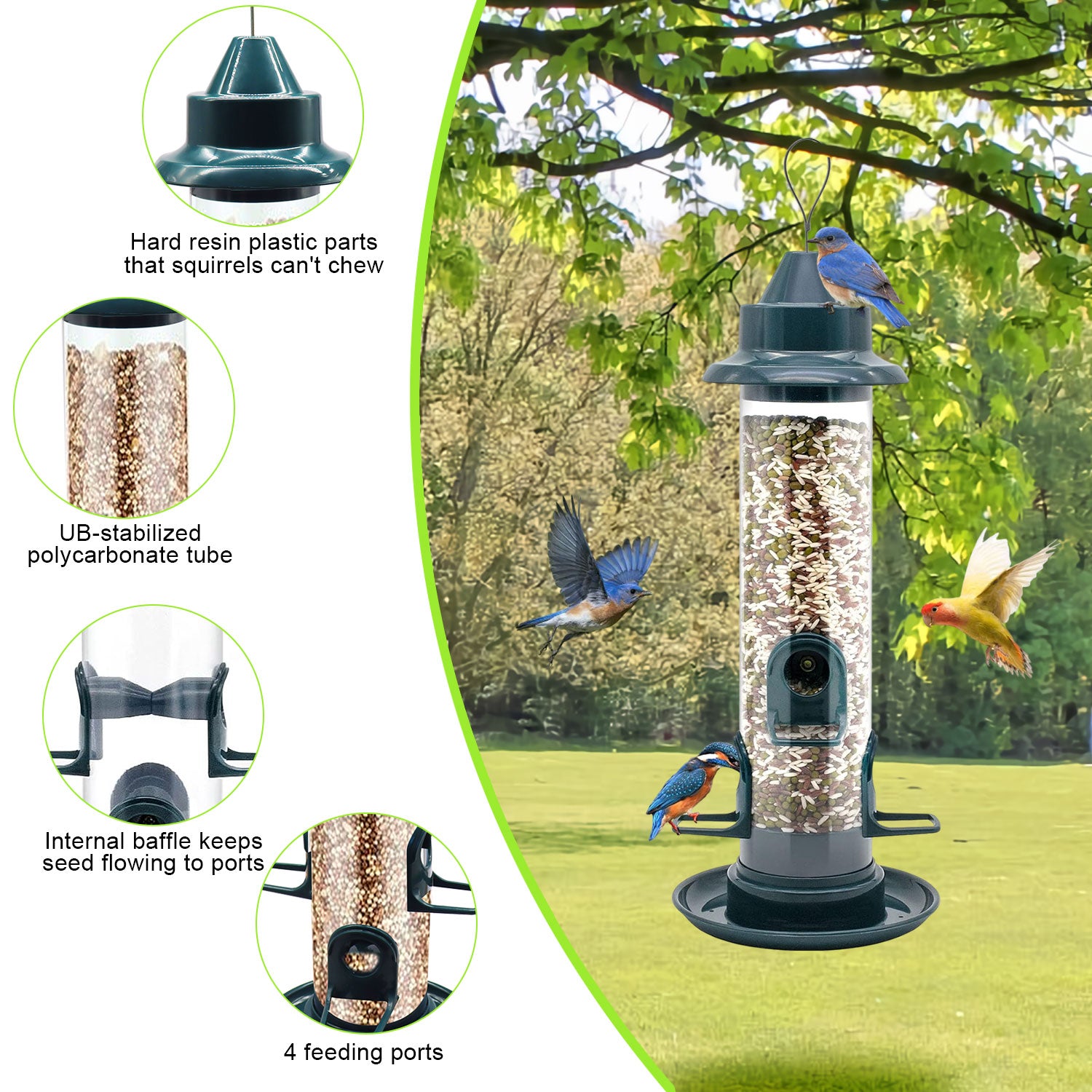 Bird Feeder